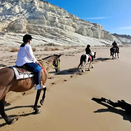 Mediterraneo *
