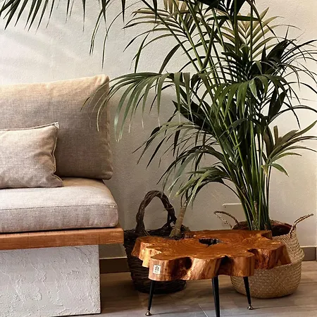 Apartment Mediterraneo *